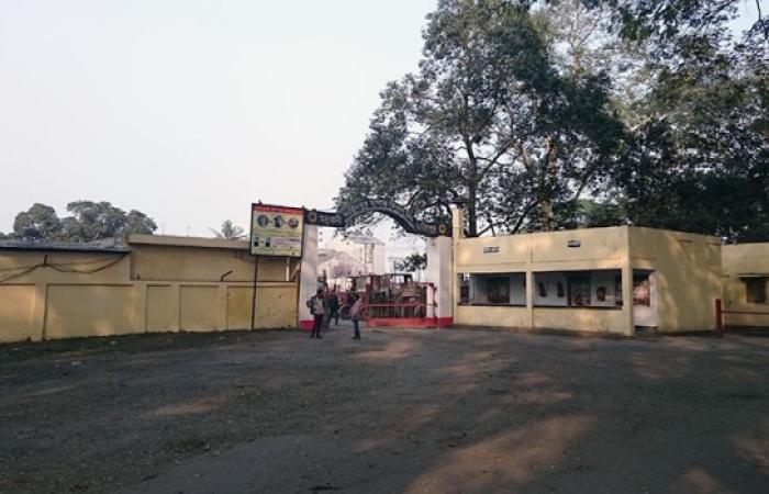 ফরিদপুর সুগার মিলস লিমিটেড, মধুখালী